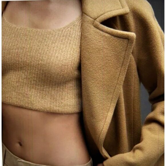 Everlane Wool Yak Blend Knit Cozy Stretch Crop Vest Tank Top in Camel Sz XXS - Picture 1 of 13